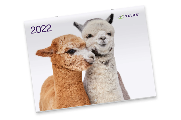 Free 2022 TELUS Calendar