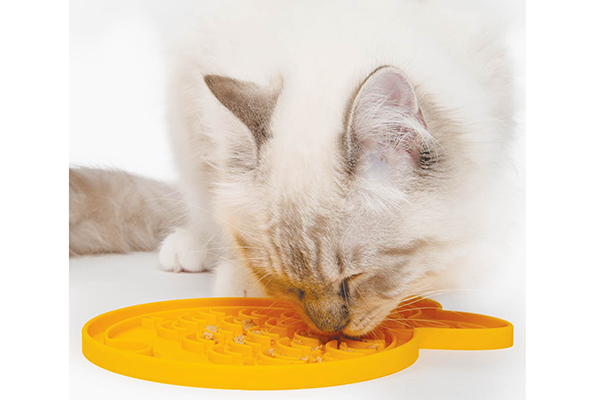 Free Catit Feeding Mat