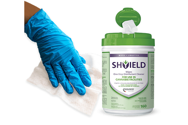 Free SHYIELD™ Disinfectant Wipes