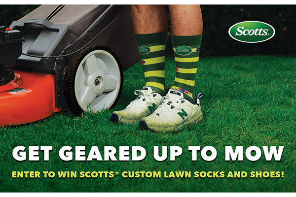 Free Scotts® Socks