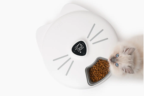 Free Catit PIXI Feeder