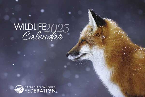Free 2023 Canadian Wildlife Calendar