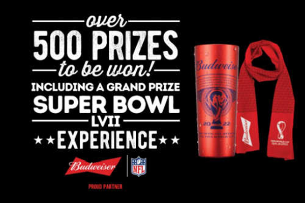 Free Budweiser Mug