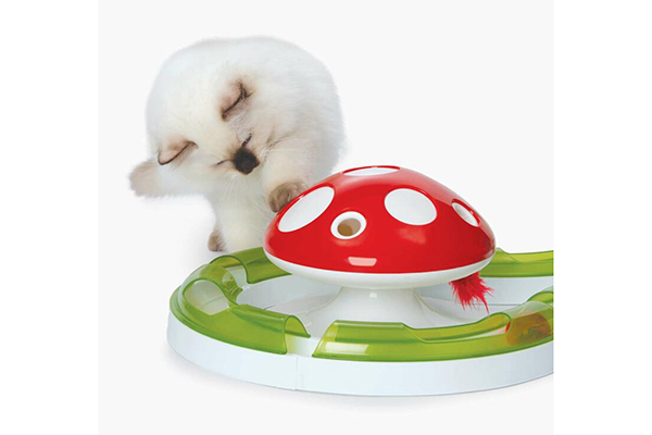 Free Catit Toy