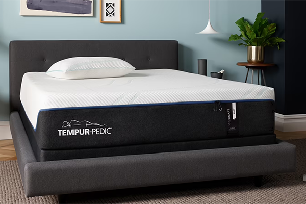 Free Tempur-pedic Mattress