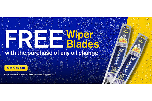 Free Michelin Wiper Blades