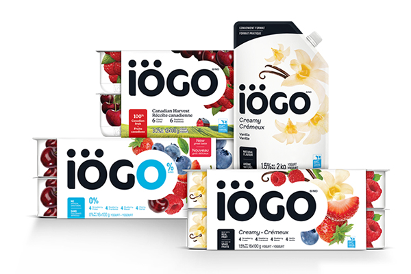 Free iÖGO Yogurt