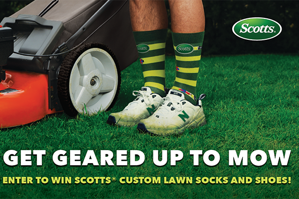 Free Scotts Lawn Socks