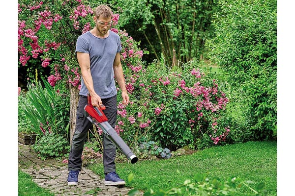 Free Einhell Leaf Blower