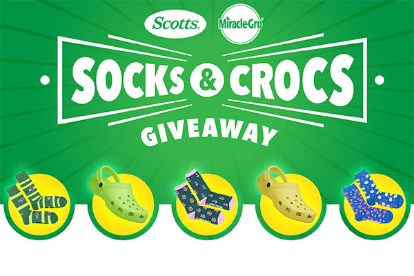 Free Miracle-Gro® Crocs