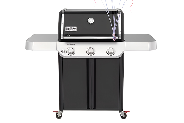 Free Weber Grill